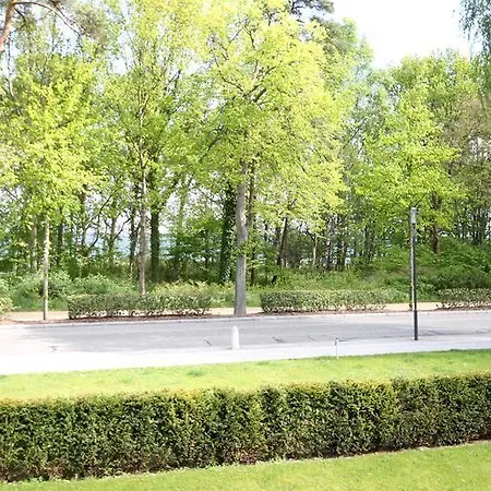 Loewenstein *